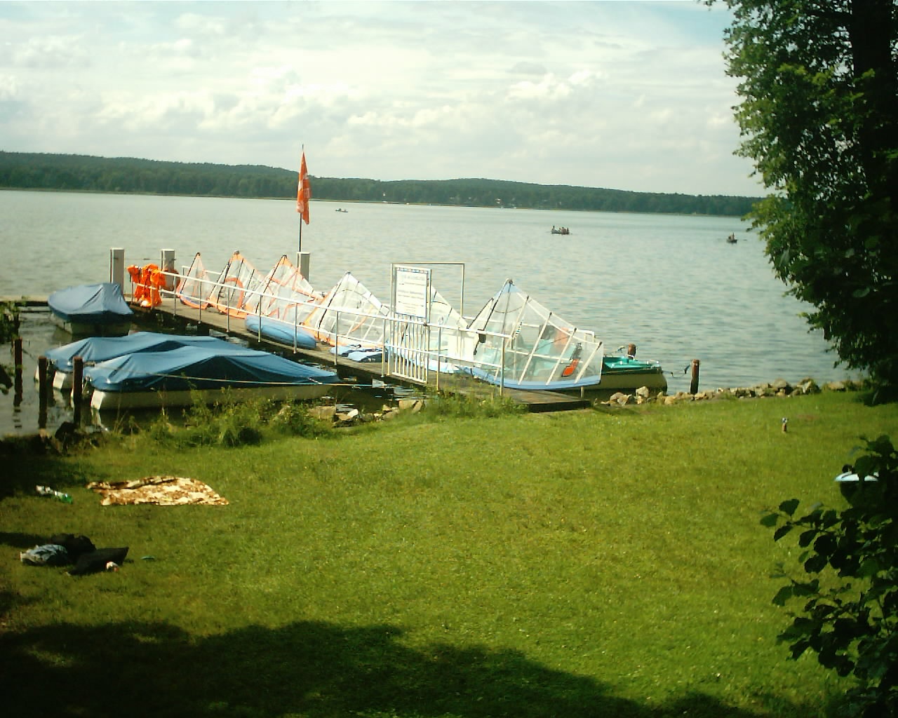 WINDSURF 12