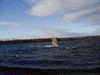 WINDSURF 13