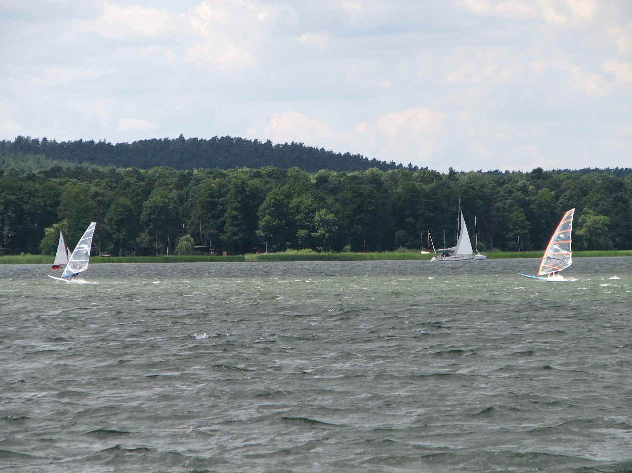 WINDSURF 17